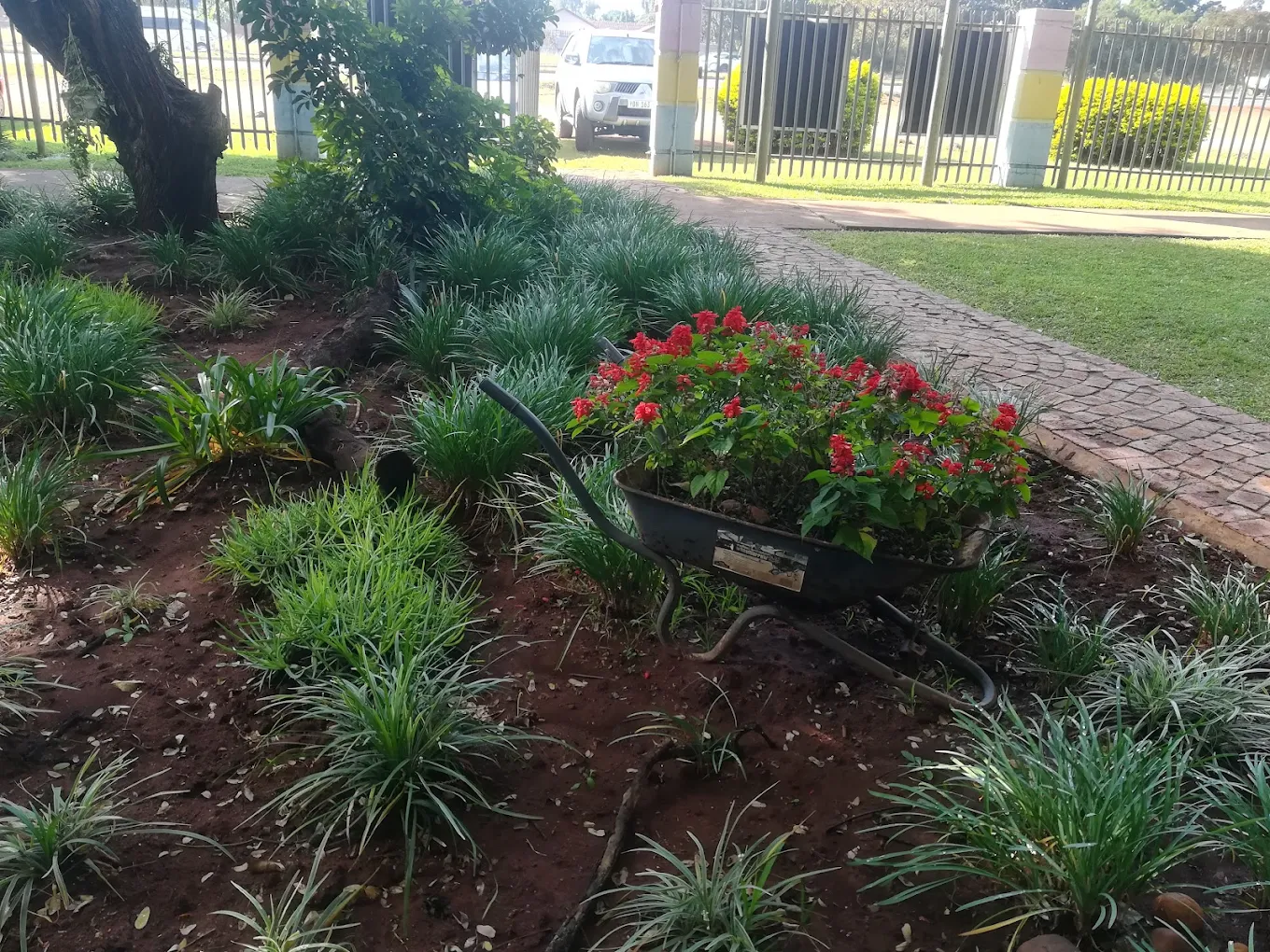 Garden at Cupcakes and Daisies Venue