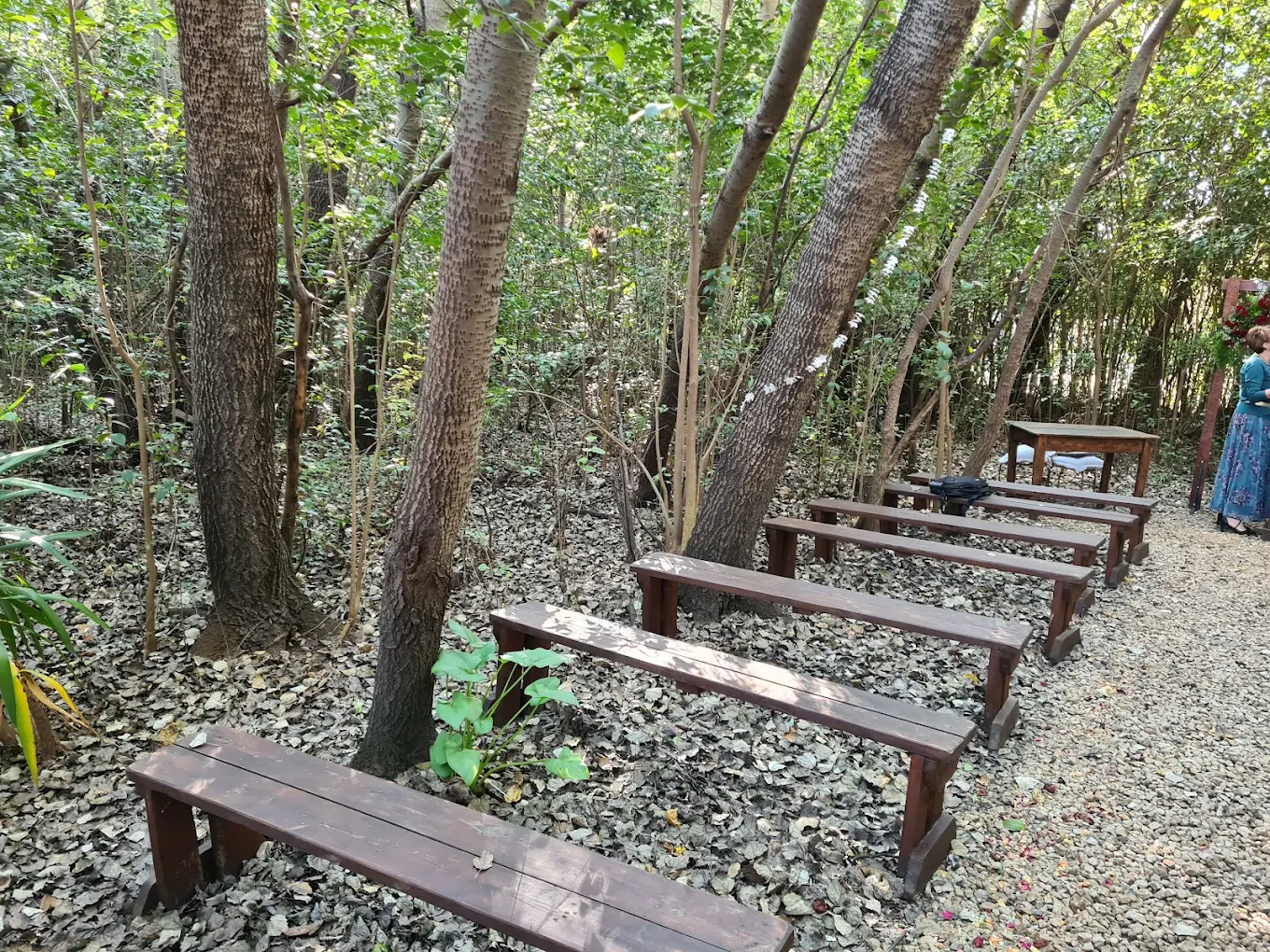Woodland ceremony seating at Fraaigesig