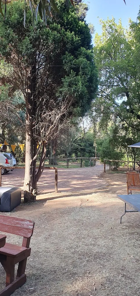 The courtyard at The Woods Pta